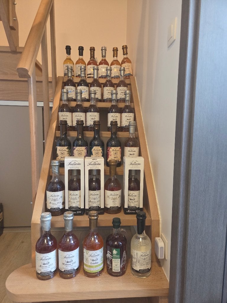 Rum-liefhebber: de favoriet, Ophalen of Verzenden, Nieuw, Vol