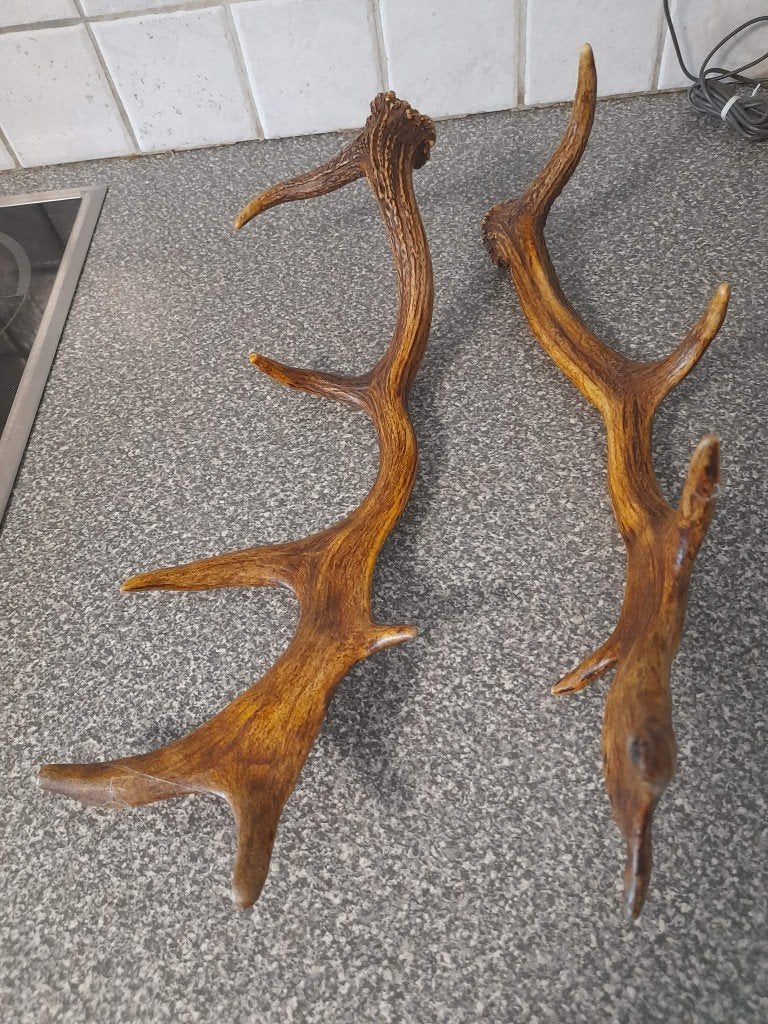 Gewei van een hert, Verzamelen, Ophalen of Verzenden, Hert, Gewei of Kop