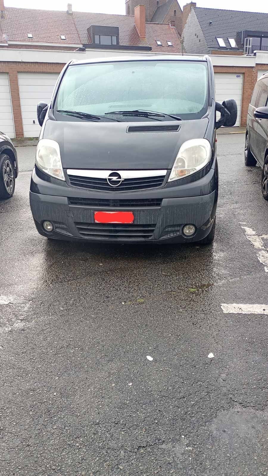 Opel Vivaro, Particulier, Te koop, Opel