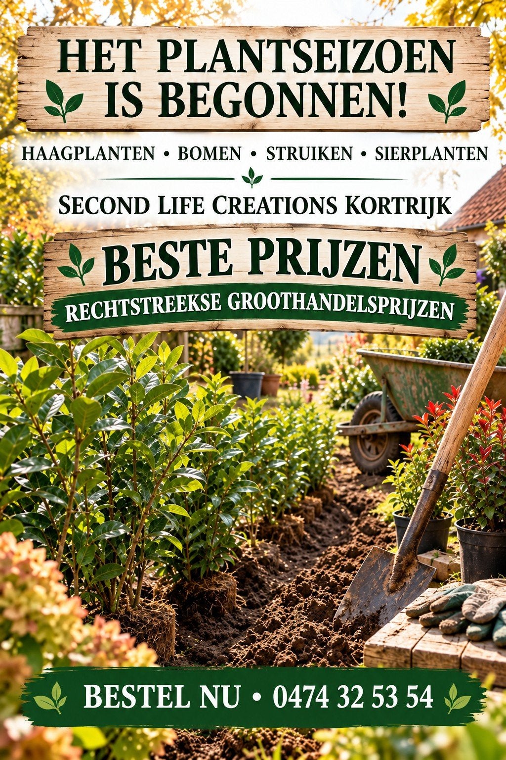 ‼️haagplanten aan stuntprijzen ‼️, Tuin en Terras, Ophalen, Taxus