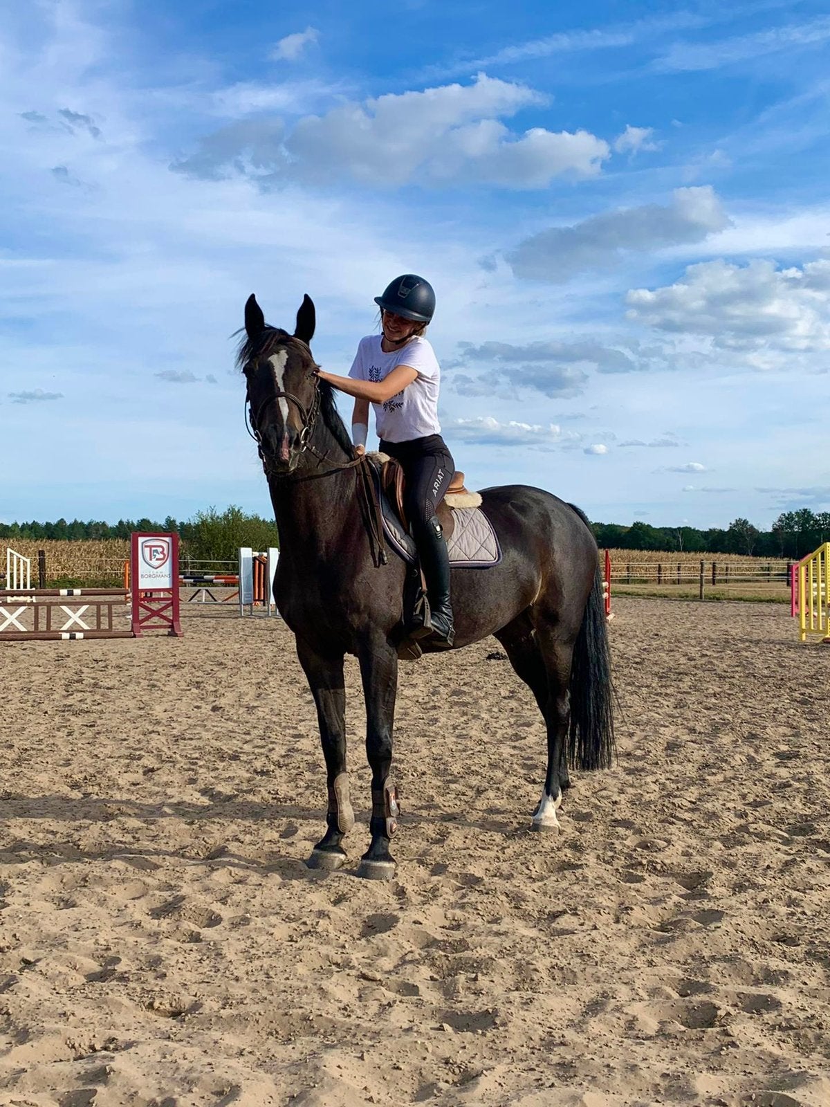 Halve stal aangeboden, Dieren en Toebehoren, Springpaard