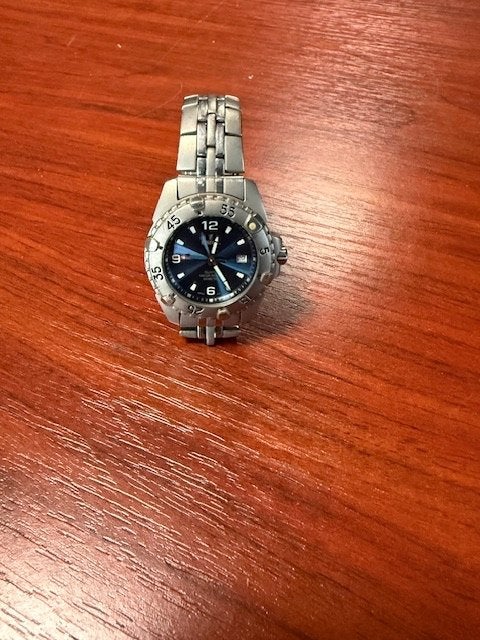 Festina Collection, Handtassen en Accessoires, Horloges | Heren, Ophalen