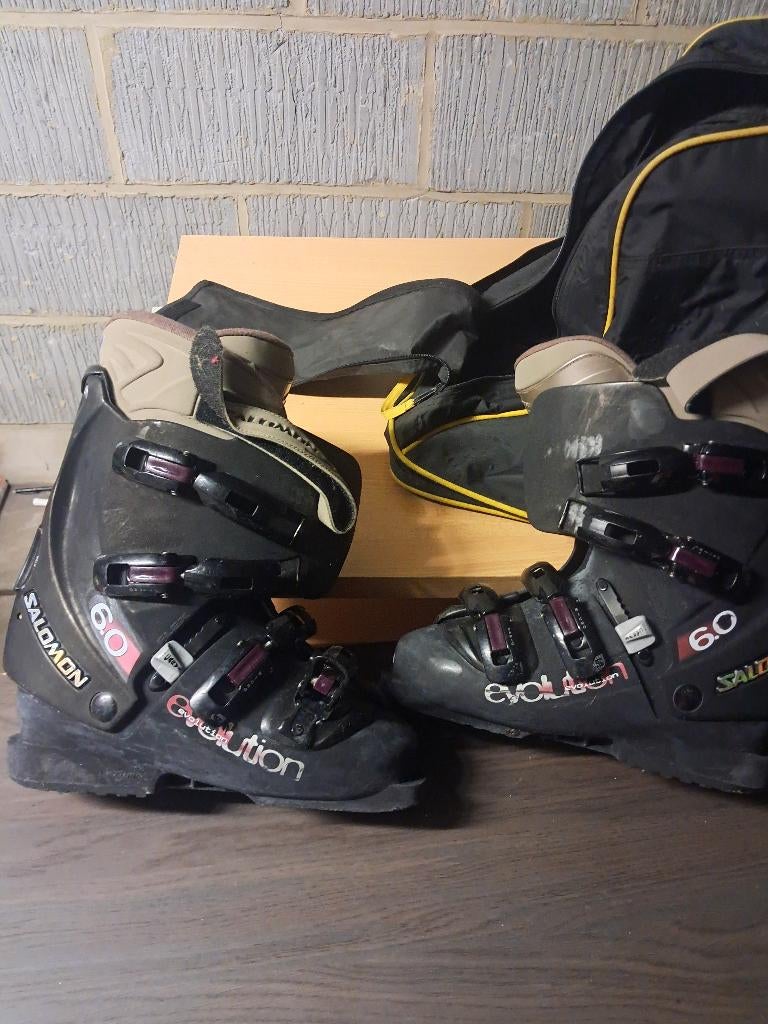 Chaussures de skis  pour Dame taille 39, Ophalen, Gebruikt, Ski, Ski's