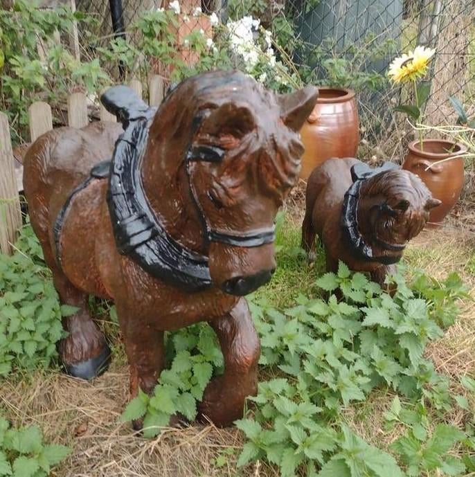 Boerenpaarden, Ophalen, Gebruikt, Kunststof, Overige typen
