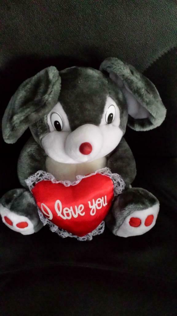 Muis met hartje "i love you" 30 cm, Ophalen of Verzenden, Gebruikt, Overige typen