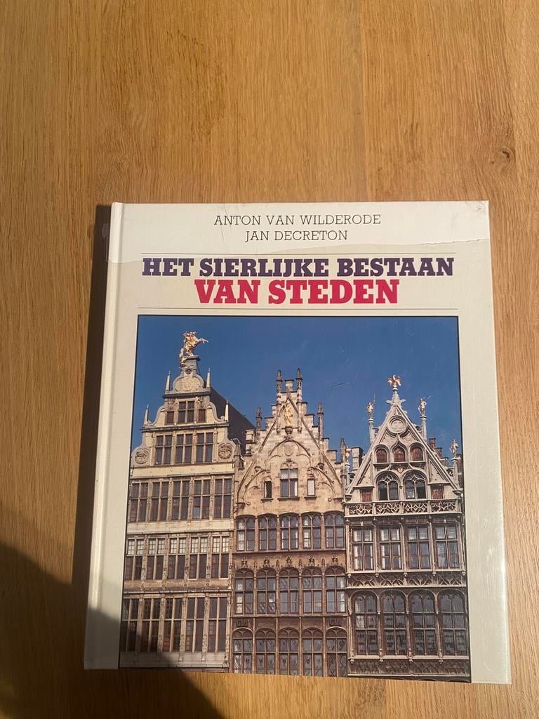 Het sierlijke bestaan van steden, Ophalen of Verzenden, Zo goed als nieuw