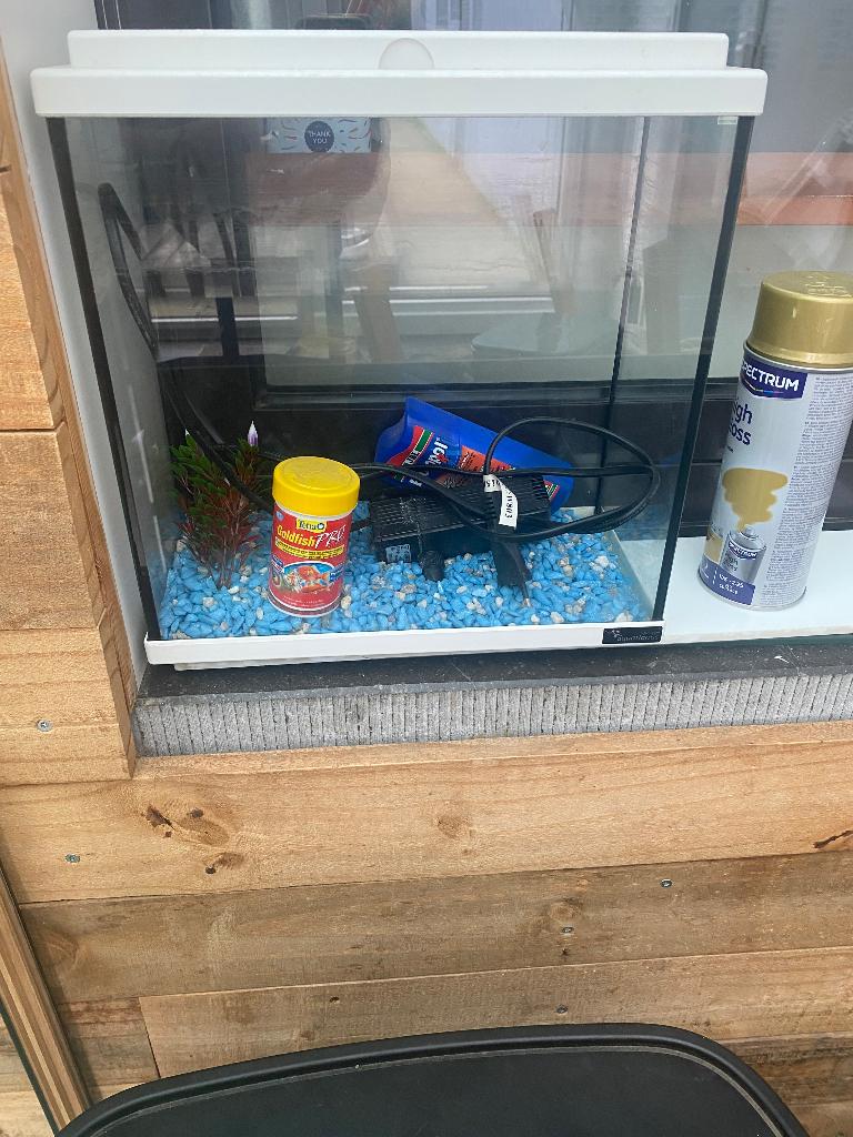 Petit aquarium, Divers, Enlèvement, Comme neuf