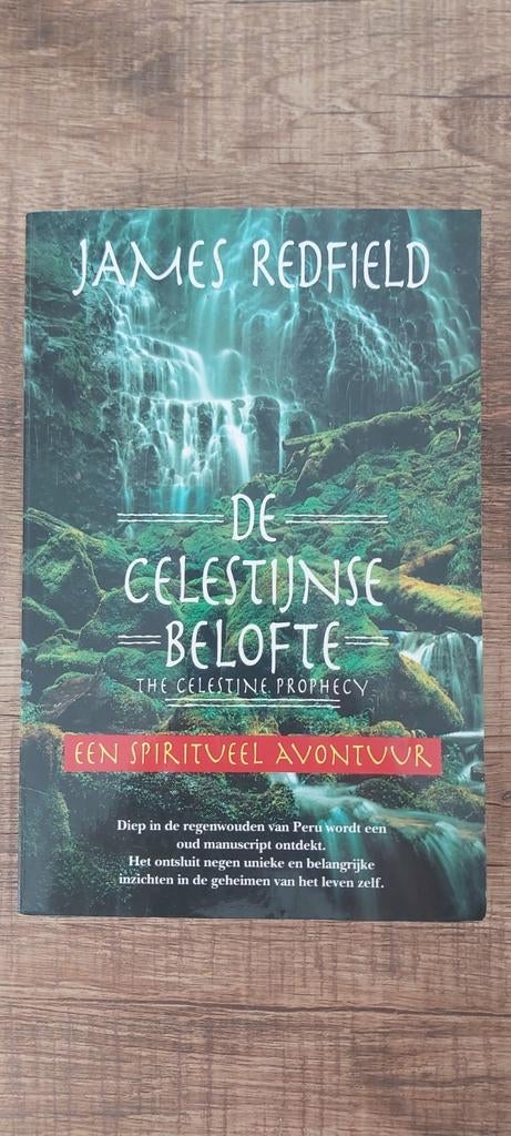 James Redfield - De Celestijnse belofte, Enlèvement, James Redfield