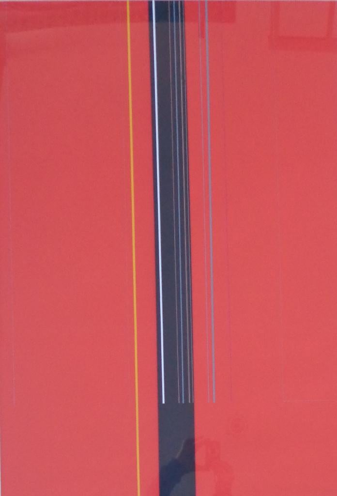 LUC PEIRE / ROSTEL / KLEURZEEFDRUK / 114x77cm / KADER / SIG, Ophalen