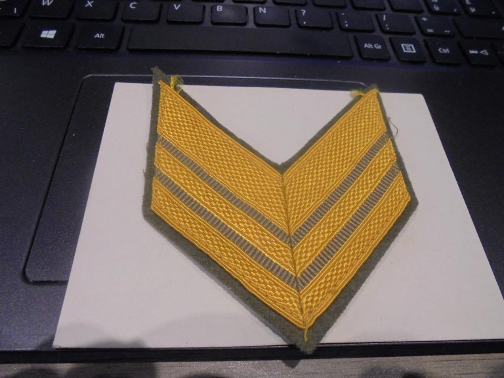 kenteken Italie leger, Ophalen of Verzenden, Landmacht, Embleem of Badge