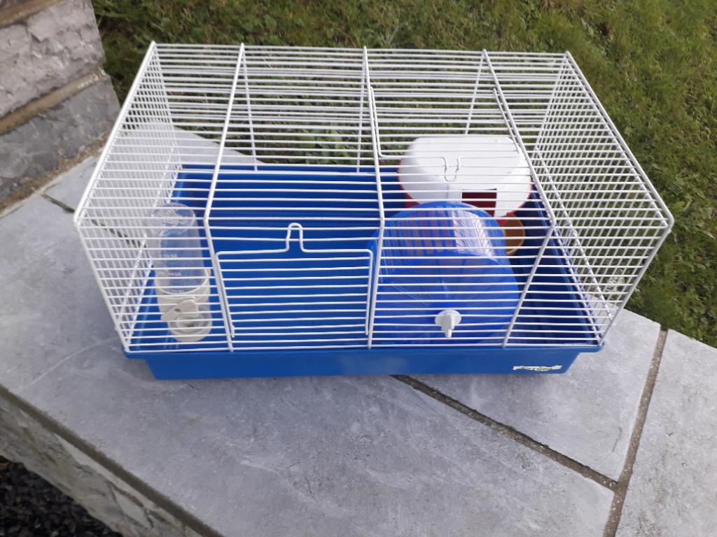 Cage a hamster, Neuf, Moins de 60 cm, Cage, Rat