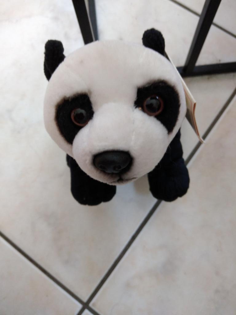 knuffel nicotoy panda(doos 54), Ophalen of Verzenden, Nieuw