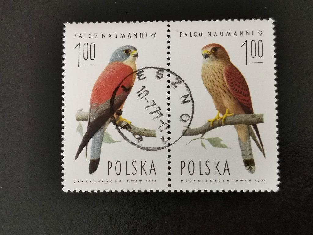 Polen 1975 - vogels - roofvogels, valk, Ophalen of Verzenden, Polen, Gestempeld