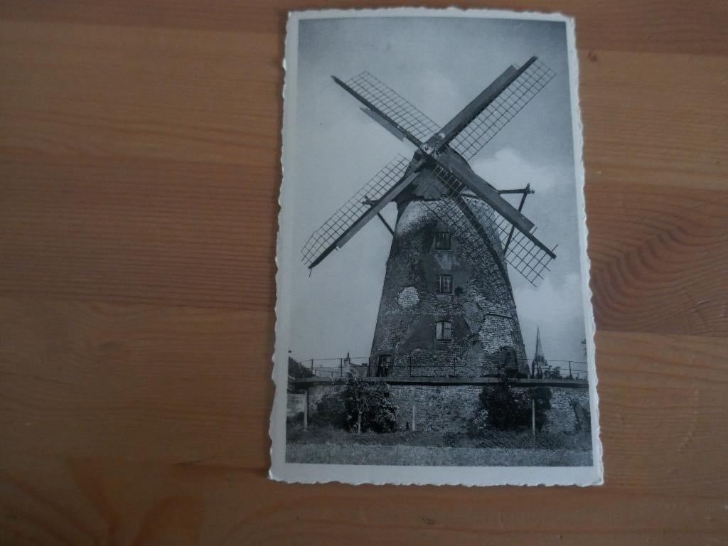 wervik oude molen, Verzamelen, Postkaarten | België, Verzenden, Ongelopen, West-Vlaanderen