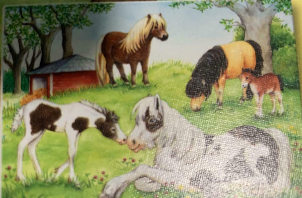 Ravensburger Puzzles 4+ paarden 2 stuks elk 24stukjes, Ophalen of Verzenden, 10 tot 50 stukjes, Zo goed als nieuw, 4 tot 6 jaar