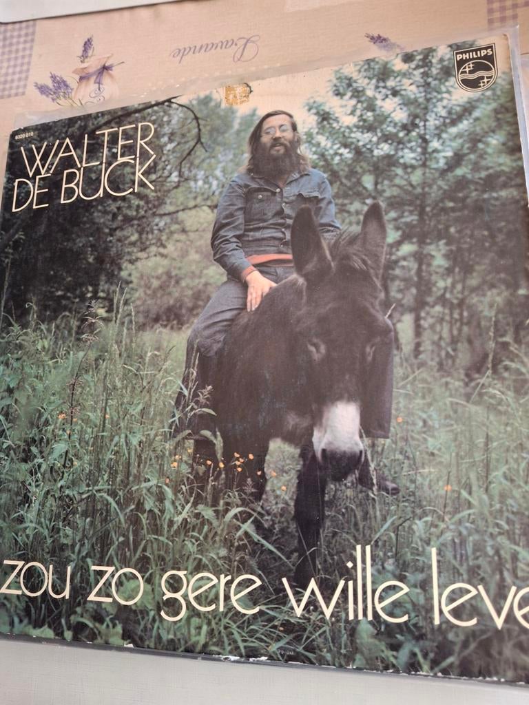 Walter de buck, Ophalen of Verzenden, Zo goed als nieuw