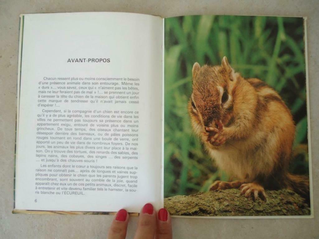 Petit livre - L'écureuil de Corée, Envoi, Comme neuf