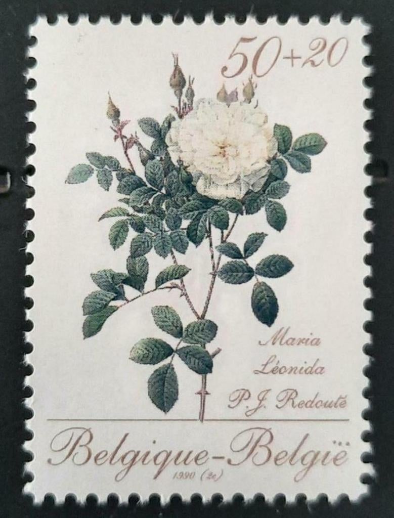 Belgique : COB 2355 ** Promotion de la philatélie III 1990, Sans timbre, Neuf, Enlèvement ou Envoi, Non oblitéré