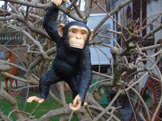 Beeld een chimpansee om op te hangen, perfecte imitatie, Tuin en Terras, Ophalen of Verzenden, Nieuw, Kunststof, Dierenbeeld