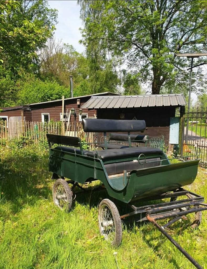 Calèche 6 personnes légères, avec harnais. Taille cob