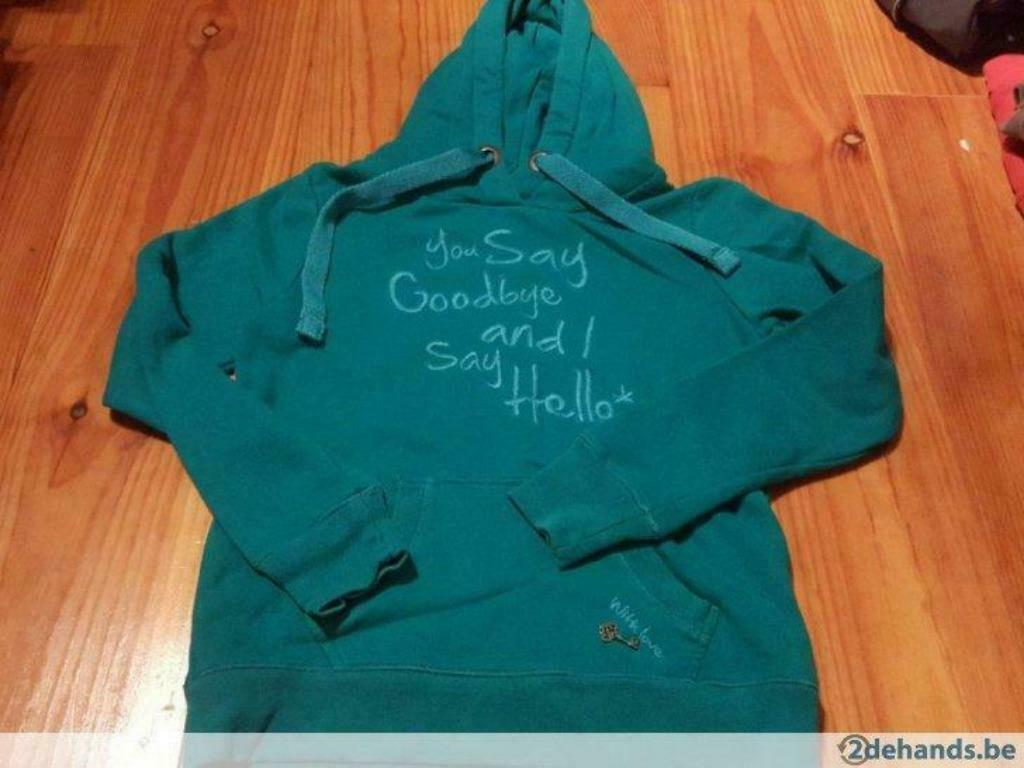 Pull avec capuche Groggy taille M, Vêtements | Femmes, Enlèvement ou Envoi, Porté, Taille 36 (S), Vert