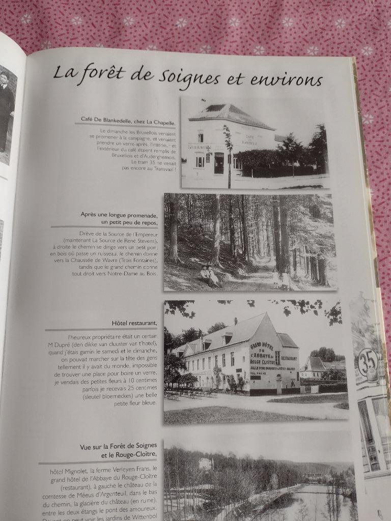 Boeken, Ophalen of Verzenden, Henri Ceuppens