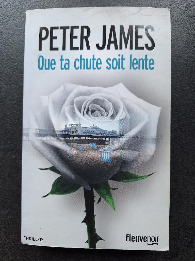 Que ta chute soit lente - Peter James, Peter James, Comme neuf, Enlèvement, Amérique