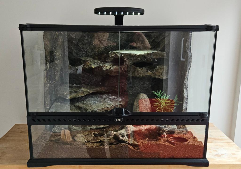 Exo Terra super équipé., Dieren en Toebehoren, Ophalen