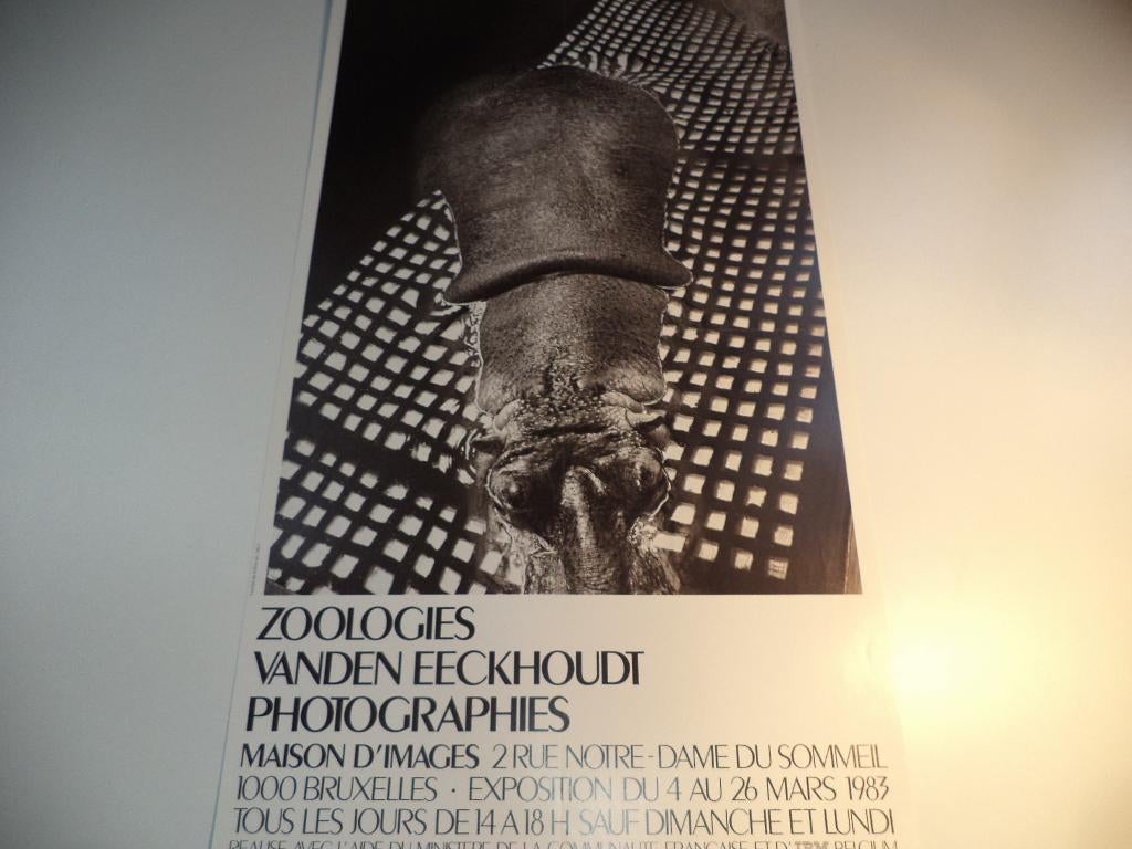 '83 Michel Vanden Eeckhoudt ZOOLOGIES nijlpaard foto affiche, Antiek en Kunst, Ophalen of Verzenden