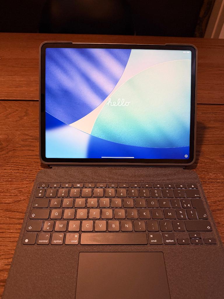 iPad Pro M1 2022 - 12.9" - 256 GB wifi, Informatique & Logiciels, Apple iPad Tablettes, Gris, Enlèvement ou Envoi, 13 pouces ou plus