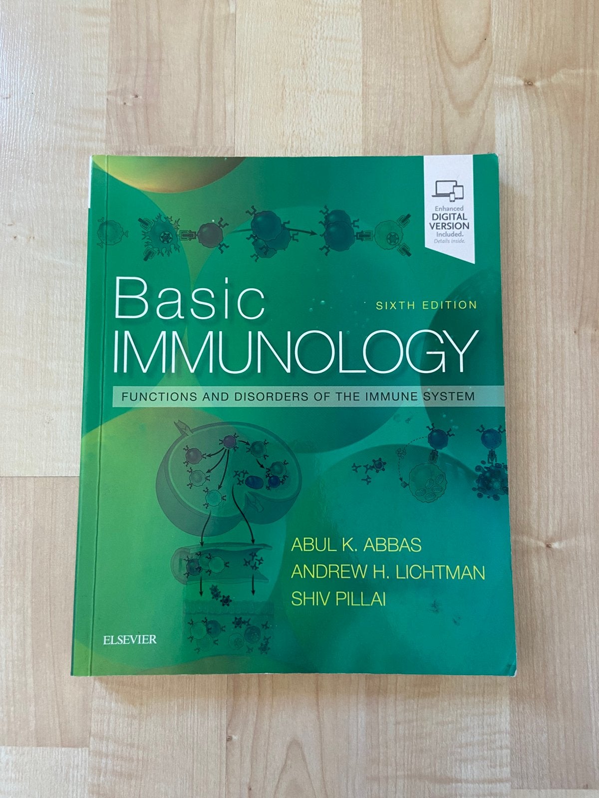 Basic Immunology - Abbas 6th edition, Boeken, Studieboeken en Cursussen, Ophalen of Verzenden, Gelezen, Hoger Onderwijs