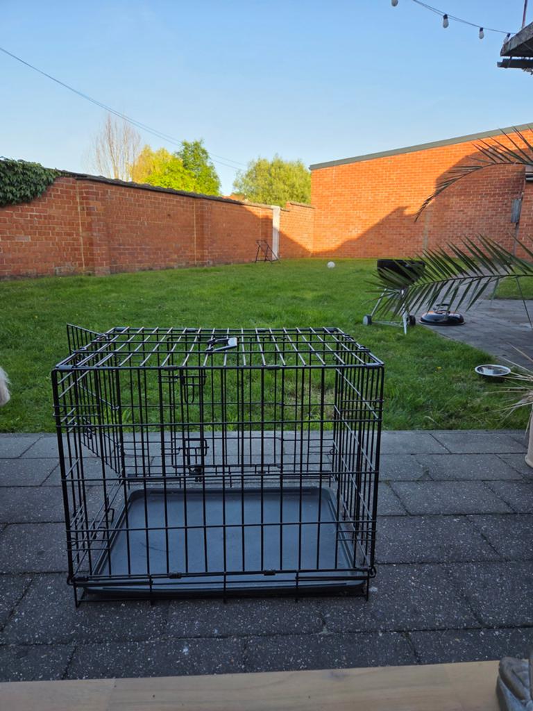 Benche kleine honden, Ophalen