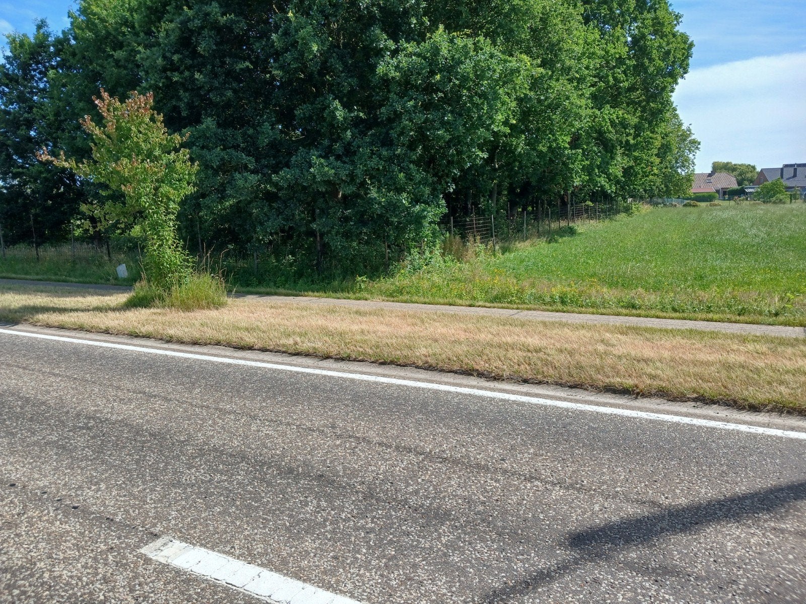 Landbouwgrond en bos, Immo, Nieuwerkerken, Verkoop zonder makelaar, 1500 m² of meer