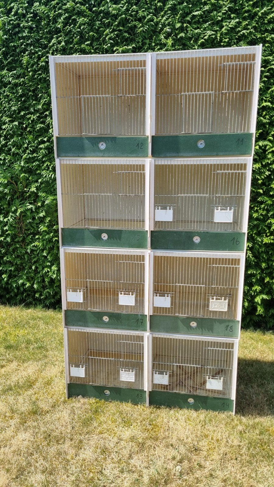 kweekkooien Heesakkers, Dieren en Toebehoren, Ophalen, Kunststof