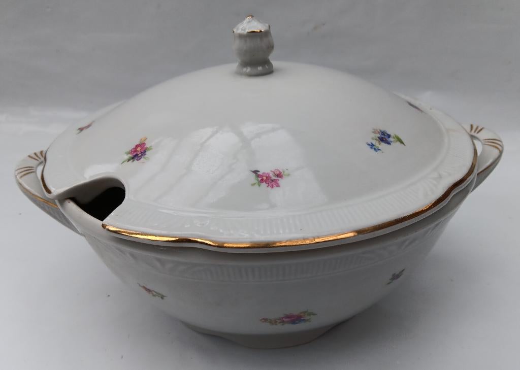 Antiek Eetservies Chodziez - 12 personen, Ophalen