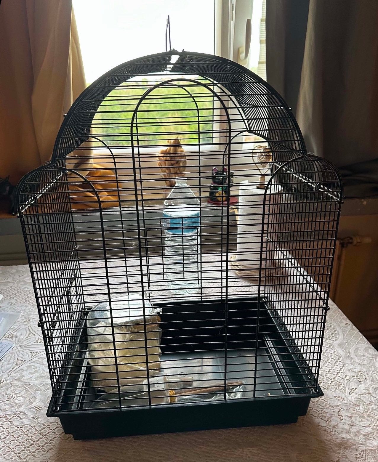 Cage oiseaux, Enlèvement, Comme neuf
