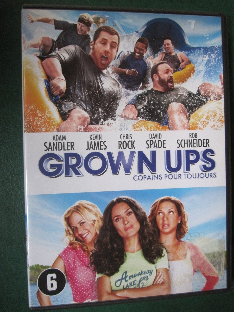 Grown Ups (2010), Cd's en Dvd's, Nederlands, Overige genres, Ophalen of Verzenden, Zo goed als nieuw