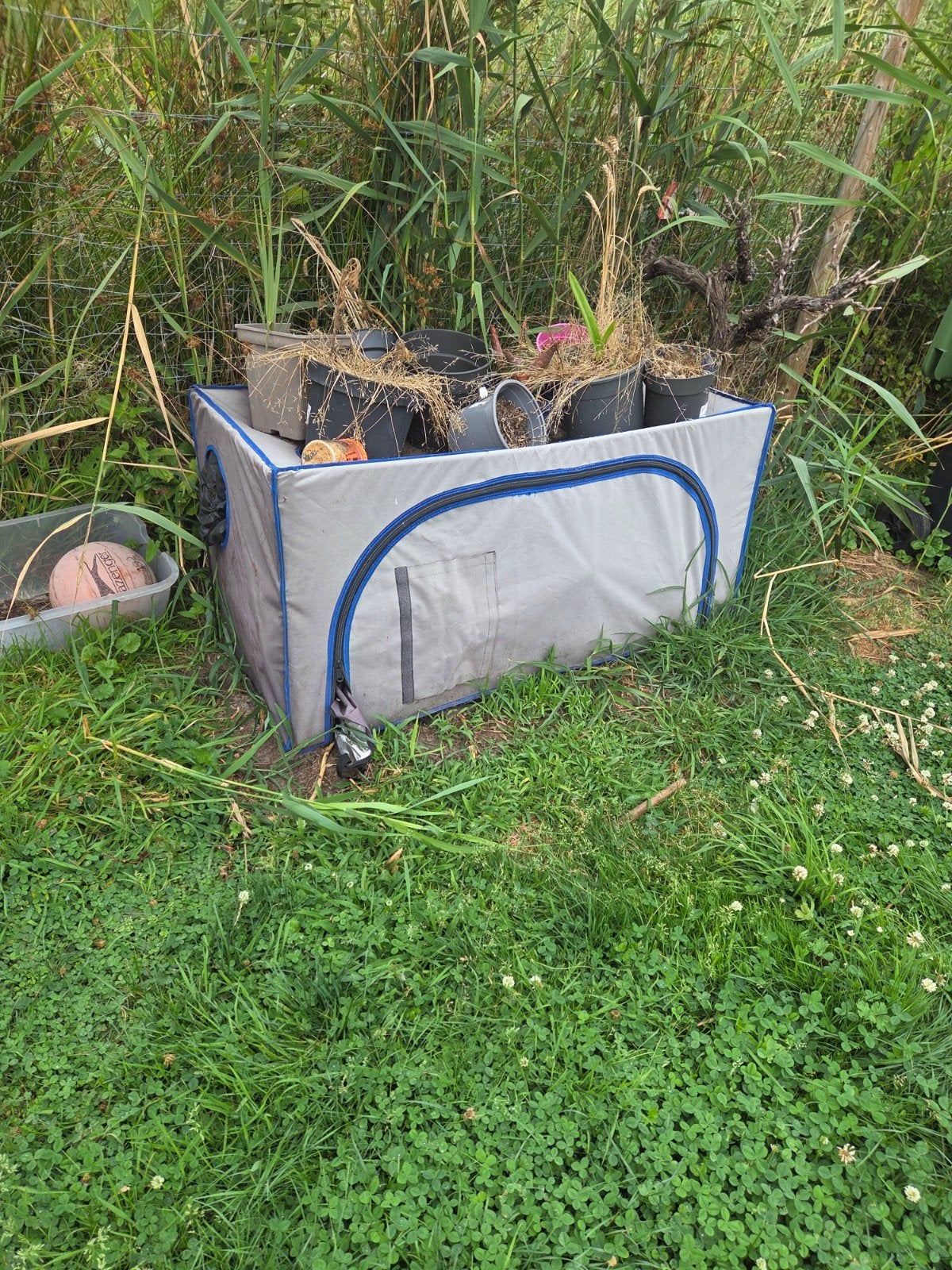 gratis greenhouse, Tuin en Terras, Kassen, Ophalen, Gebruikt, Overige materialen, Kweekkas