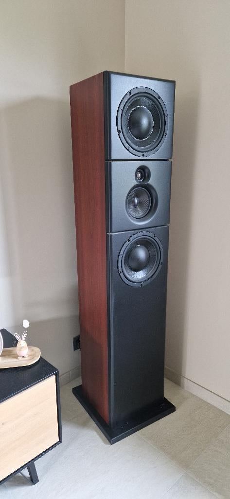 Referentie luidsprekers  FAR AES – DSP 1000watt actief, Zo goed als nieuw, 120 watt of meer, Front, Rear of Stereo speakers, Ophalen