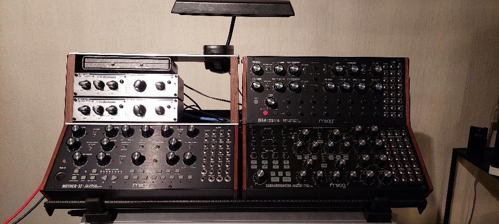 MOOG Synthesizers, Viscount Stage piano, Tascam USB Recorder, Muziek en Instrumenten, Ophalen, Zo goed als nieuw