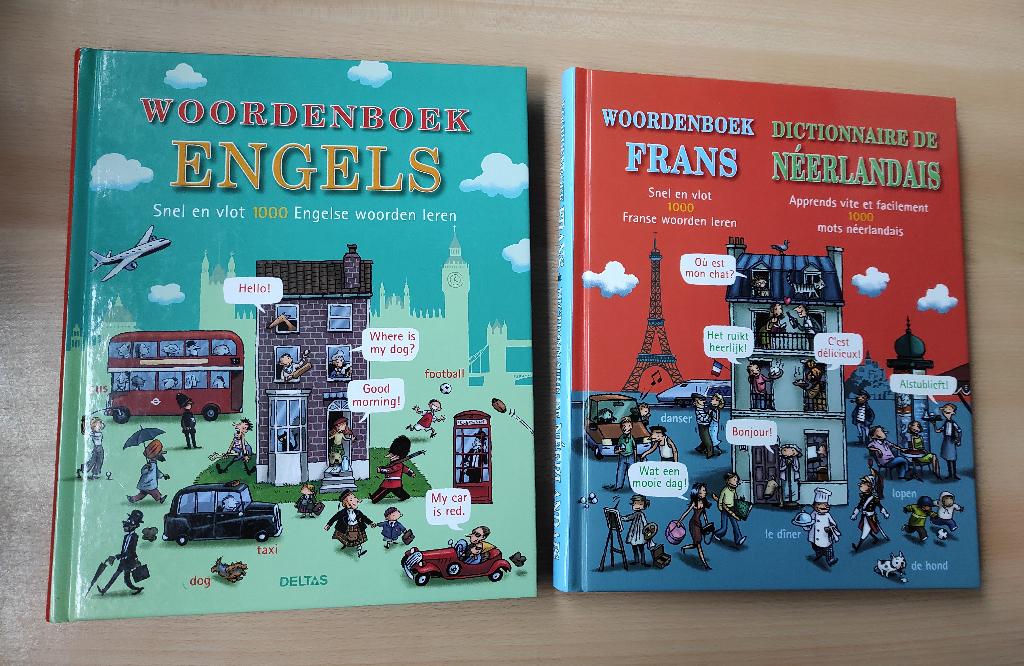 twee woordenboeken Frans en Engels, Boeken, Woordenboeken, Ophalen of Verzenden, Gelezen, Engels
