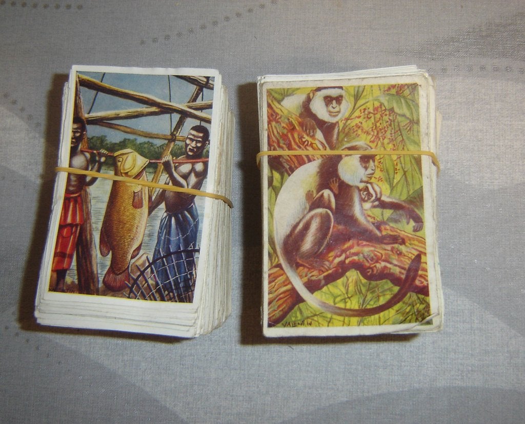 Chromos DE African Fauna Mix lot de 750 grammes., Gravure, Utilisé, Envoi, 1940 à 1960