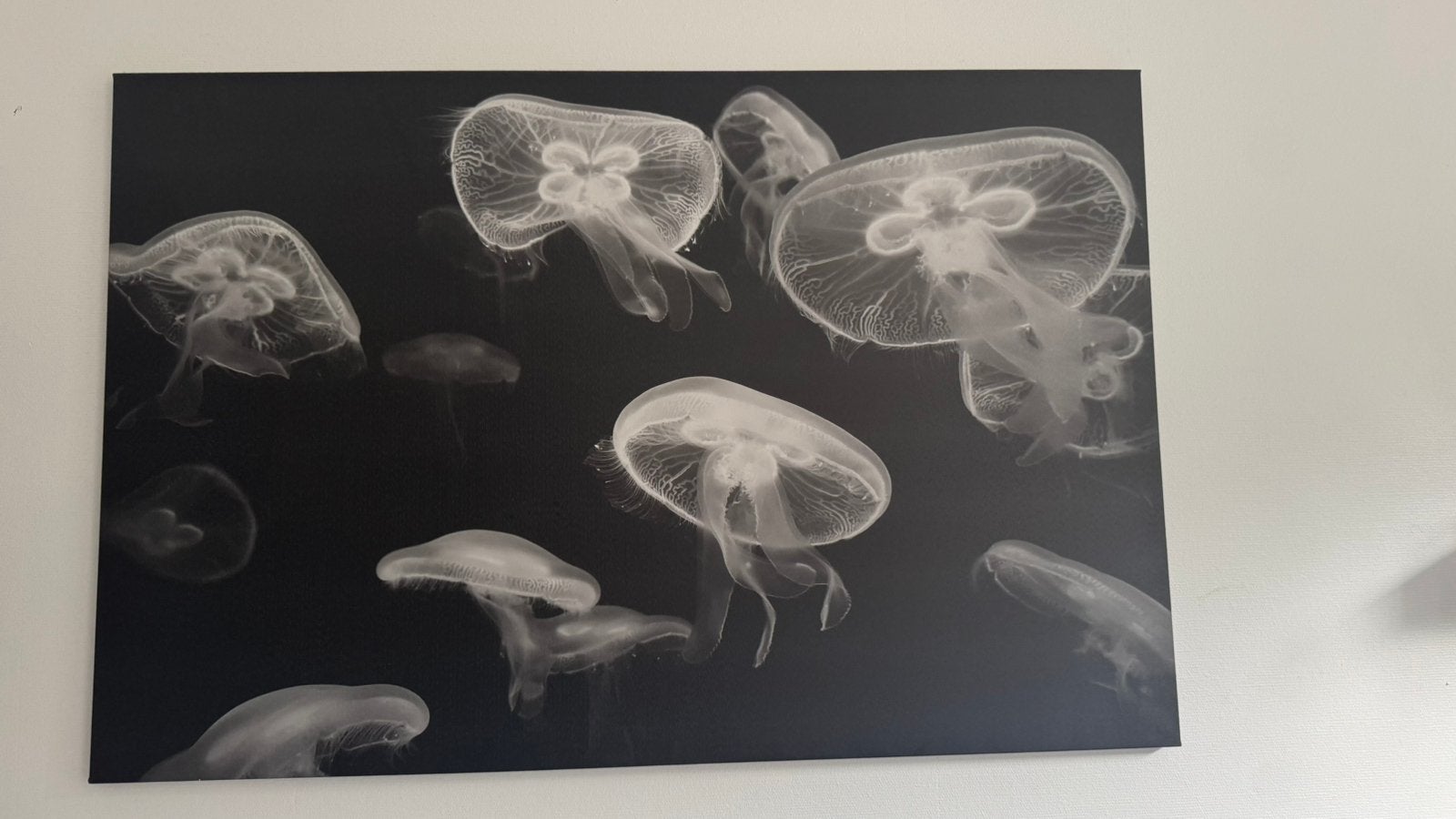 Tableau peinture IKEA, Enlèvement, Comme neuf