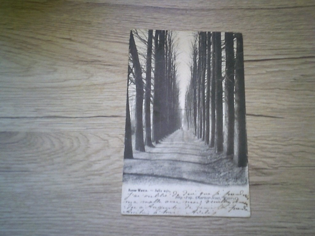 BASSE-WAVRE: Belle voie, Ophalen of Verzenden, Voor 1920, Gelopen, Waals-Brabant