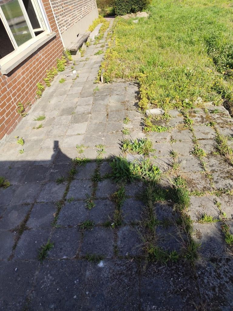 Betondallen gratis, Ophalen, Terrastegels