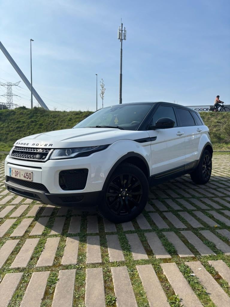 Land Rover Evoque *Lichte Vracht* 4x4, Automaat, 4 cilinders, Wit, Bedrijf