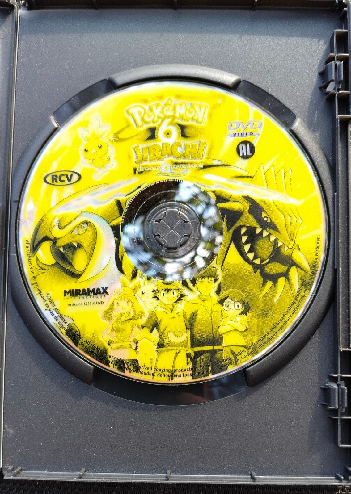 Pokémon 6, Enlèvement