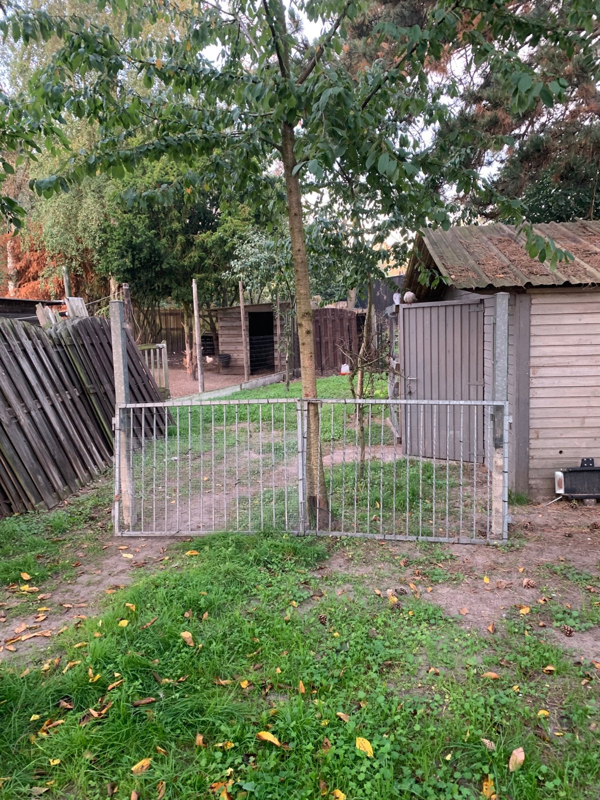 Galva poort met palen hang en sluitwerk, Ophalen, Gebruikt