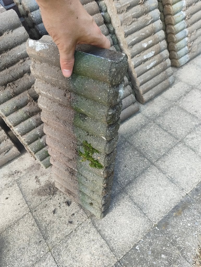 Borderranden, Tuin en Terras, Bielzen en Borduren, Ophalen, Gebruikt, Minder dan 25 cm, Border