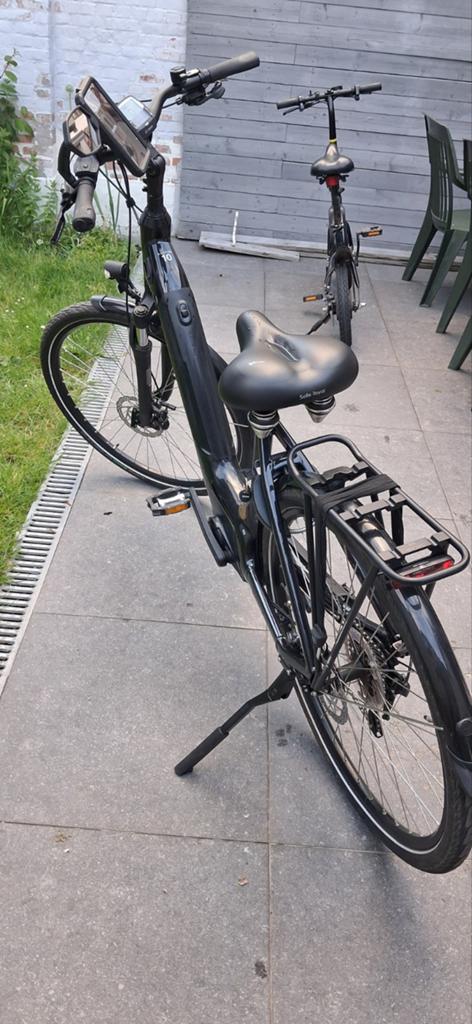 Raleigh, Fietsen en Brommers, Elektrische fietsen, Ophalen